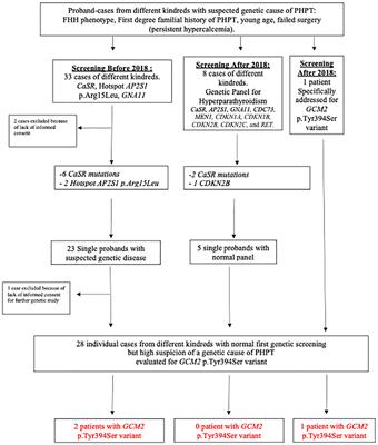 GCM2 p.Tyr394Ser variant in Ashkenazi Israeli patients with suspected familial isolated hyperparathyroidism